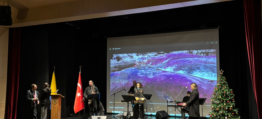 Con la asistencia de más de 300 personas la Embajada de Colombia en Turquía celebró el fin de año con un concierto que llegó al corazón de los connacionales