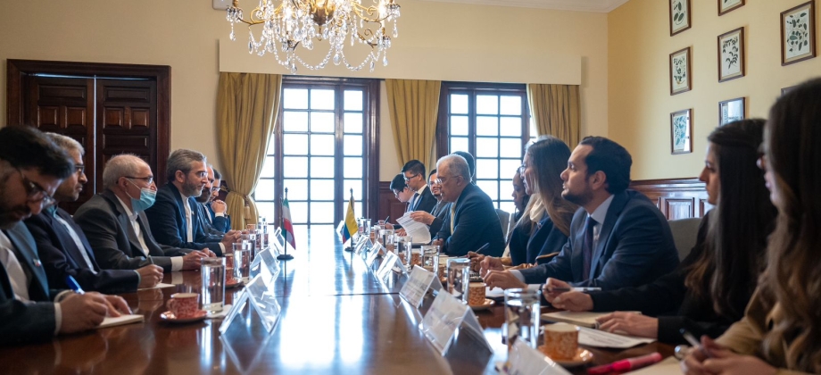 Vicecanciller Francisco Coy intercambió posiciones sobre asuntos bilaterales, regionales y globales, incluyendo derechos humanos y género, con el Viceministro Político de Relaciones Exteriores de de Irán, Ali Bagheri